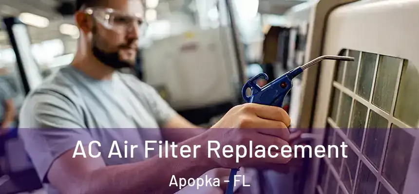  AC Air Filter Replacement Apopka - FL