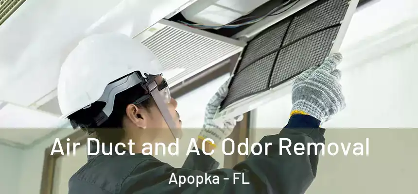  Air Duct and AC Odor Removal Apopka - FL