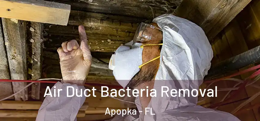  Air Duct Bacteria Removal Apopka - FL