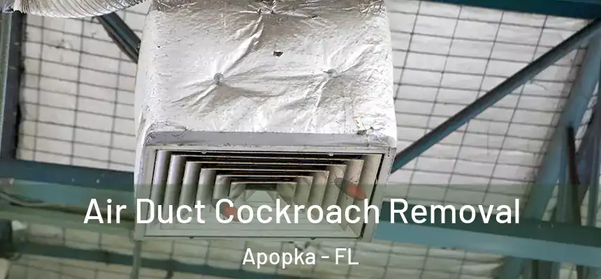  Air Duct Cockroach Removal Apopka - FL