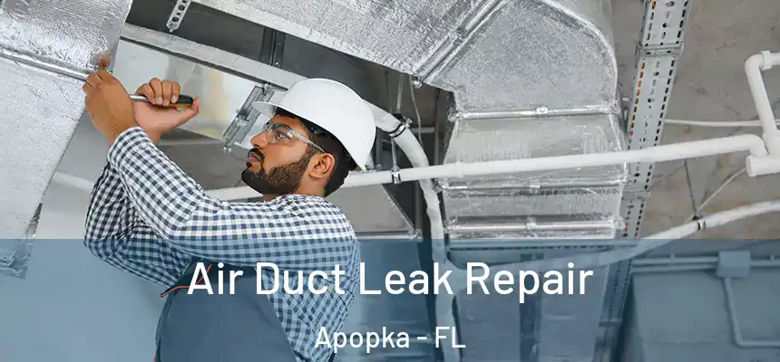  Air Duct Leak Repair Apopka - FL