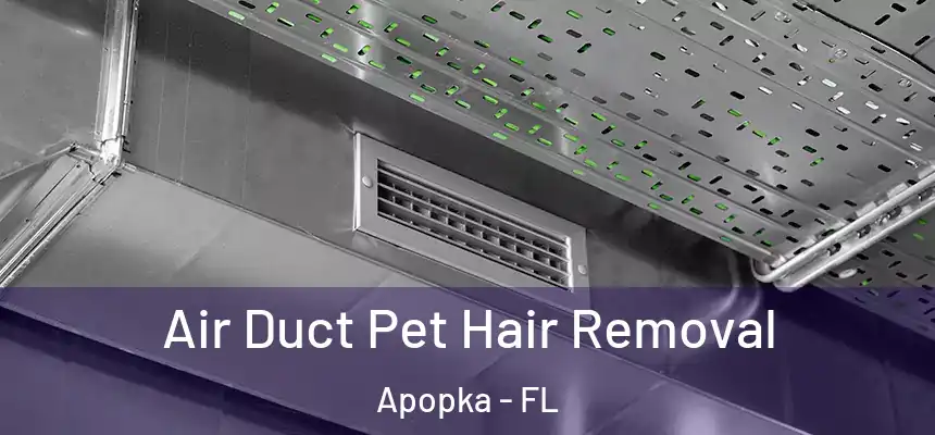 Air Duct Pet Hair Removal Apopka - FL