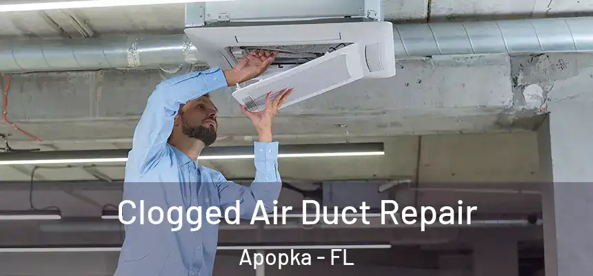  Clogged Air Duct Repair Apopka - FL