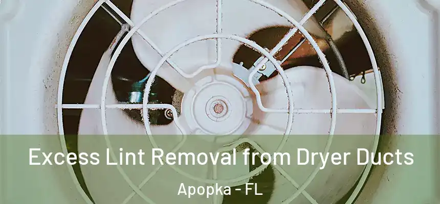 Excess Lint Removal from Dryer Ducts Apopka - FL