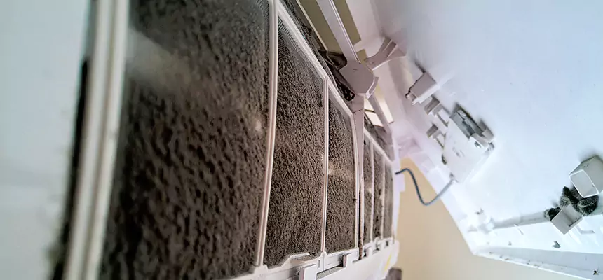 Preventive Air Duct Bacteria Removal in Apopka