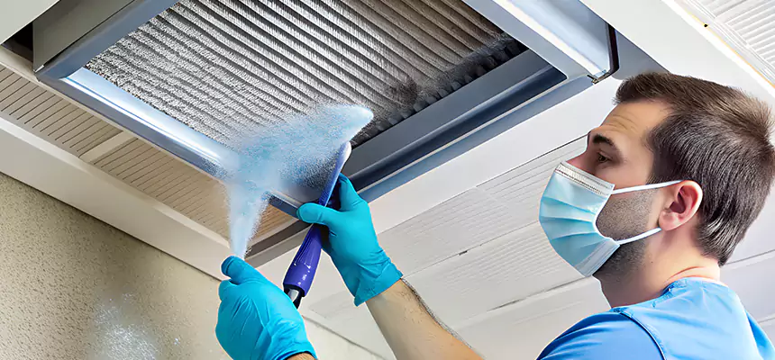 Proactive Dryer Vent & Auxiliary Duct Pollen Cleanup in Apopka, FL