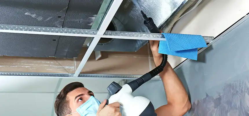 Our Air Duct Rodent Removal Services in Apopka, FL