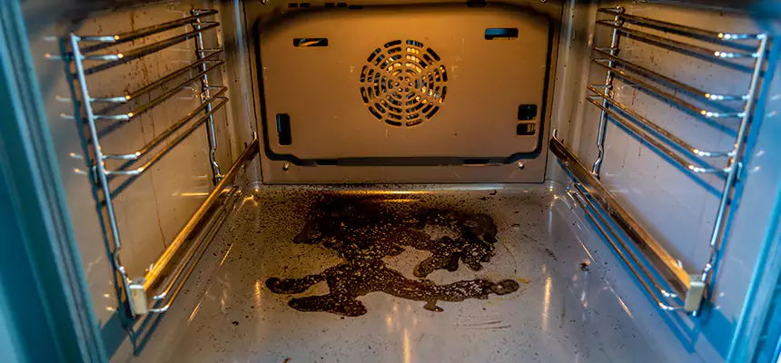 Our Dryer Vent Mold Cleaning Services in Apopka, FL