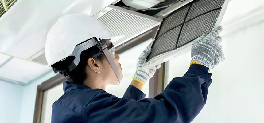 Our Mold & Mildew Removal from Air Ducts Services in Apopka, FL