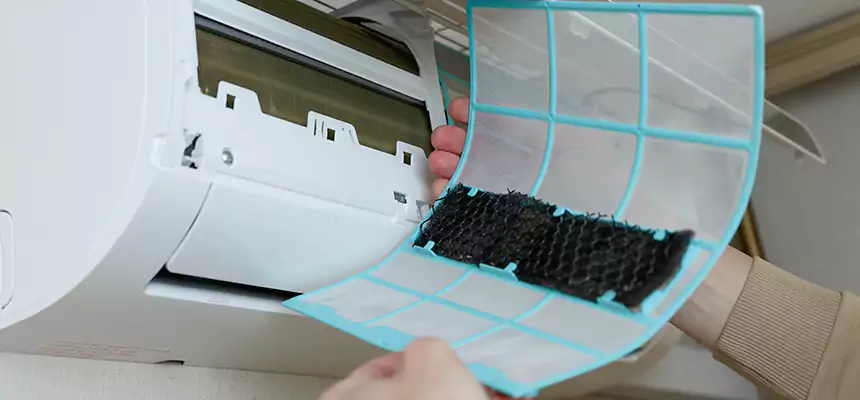 Gentle Ductwork Odor-Control Pet Dander Duct Cleaning in Apopka, FL