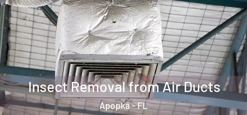 Insect Removal from Air Ducts Apopka - FL