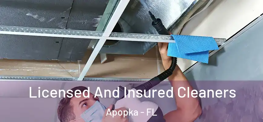  Licensed And Insured Cleaners Apopka - FL