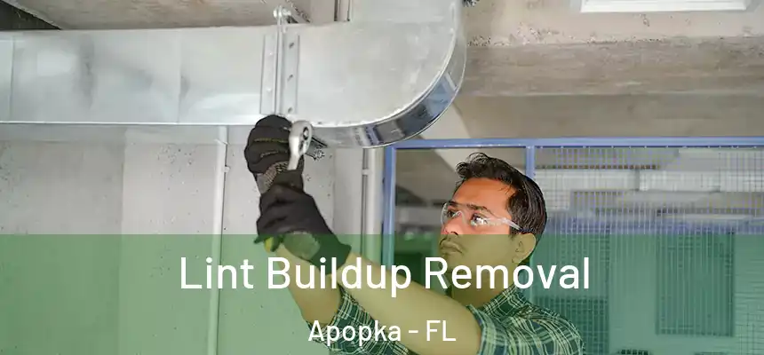  Lint Buildup Removal Apopka - FL
