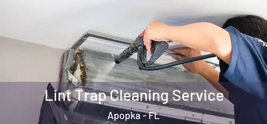  Lint Trap Cleaning Service Apopka - FL