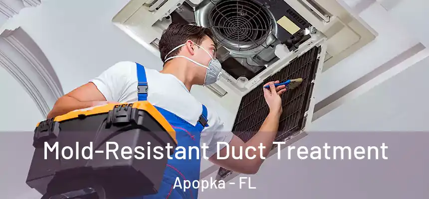 Mold-Resistant Duct Treatment Apopka - FL