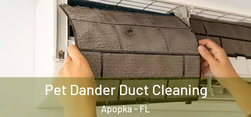Pet Dander Duct Cleaning Apopka - FL