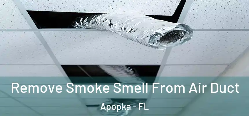  Remove Smoke Smell From Air Duct Apopka - FL