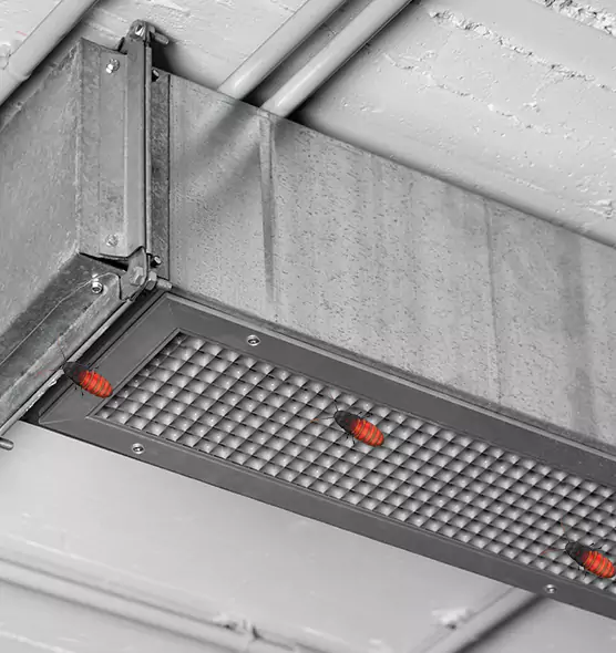 About Air Duct Cockroach Removal in Apopka, FL