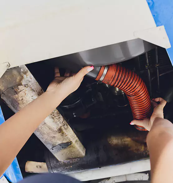 About Air Duct Virus Disinfection in Apopka, FL
