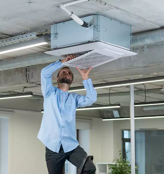 Advanced Rodent Droppings In Vents in Apopka, FL