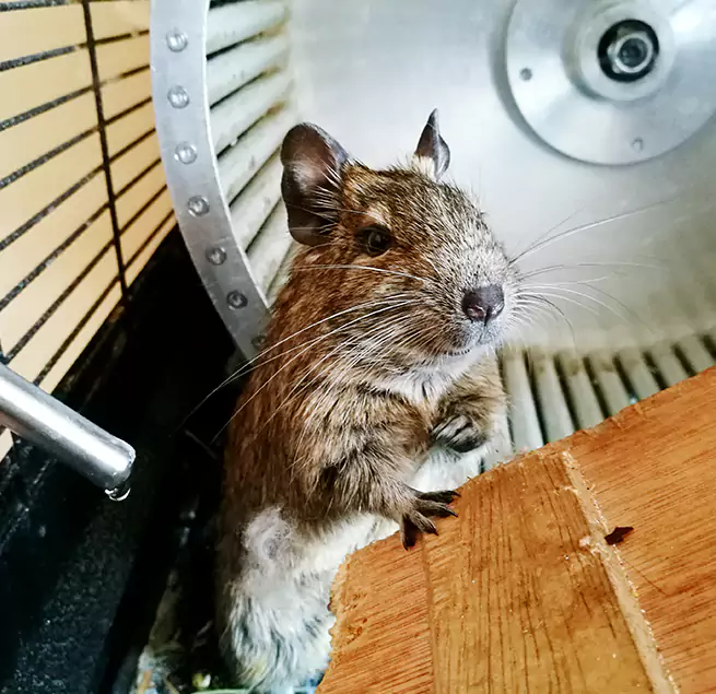 Why Homeowners & Businesses Trust Us Apopka, FL