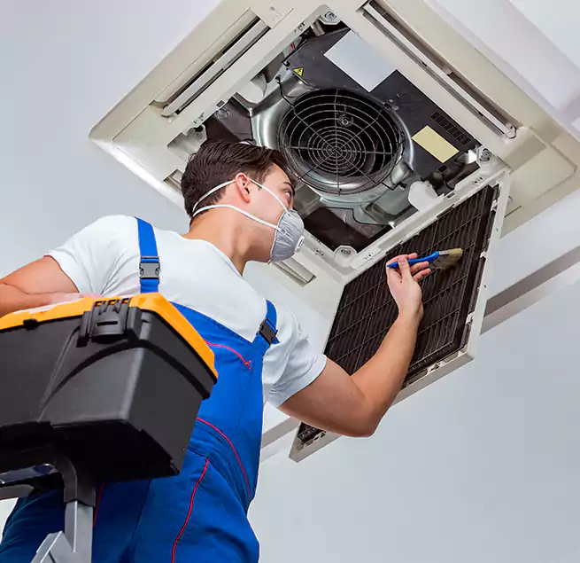 Why Homeowners & Businesses Trust Us in Apopka, FL?