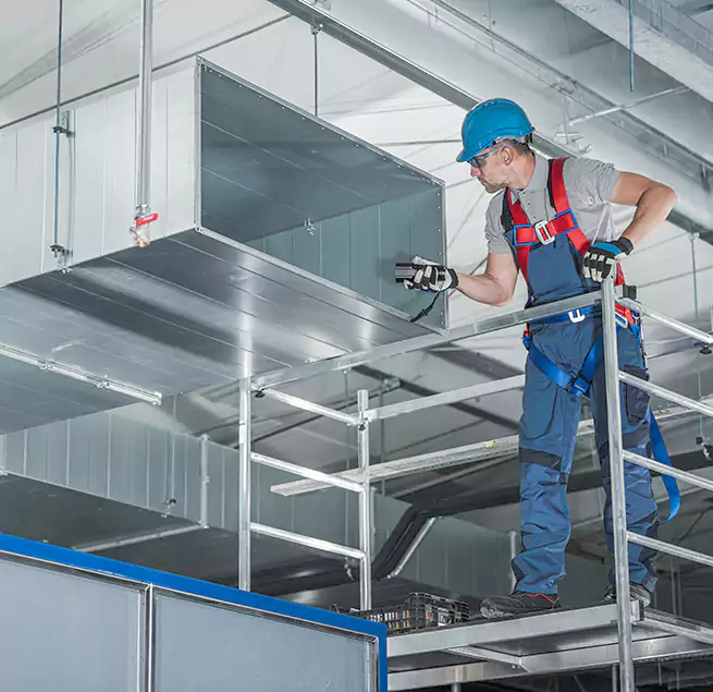 Why Homeowners Businesses Trust Us in Apopka, FL