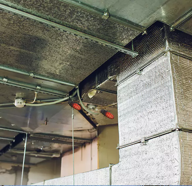 Why Homeowners & Businesses Trust Us Apopka, FL?