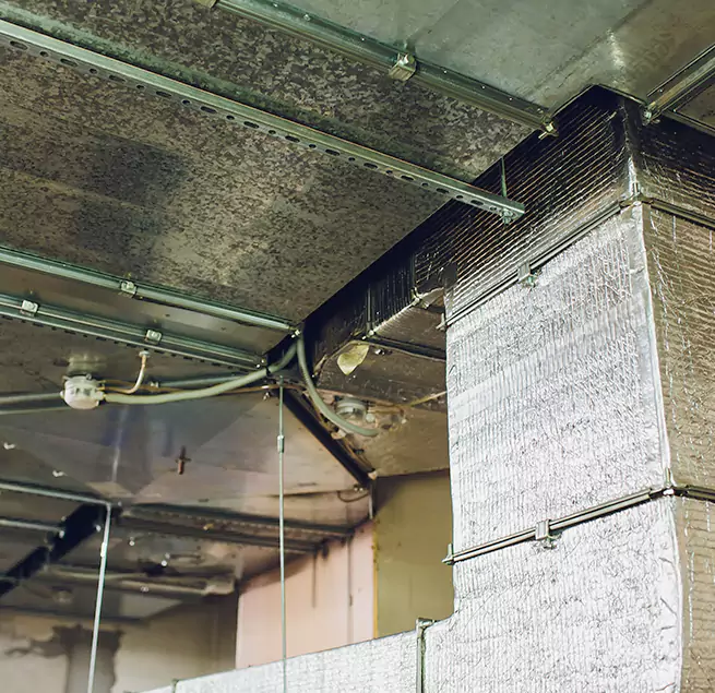 Why Homeowners & Businesses Trust Us in Apopka, FL?