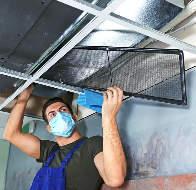 Why Homeowners & Businesses Trust Us in Apopka, FL?