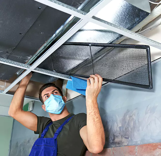 Why Homeowners Businesses Trust Us in Apopka, FL?